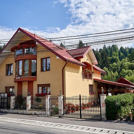 Casa Cu Flori Moisei Hotel Exterior photo