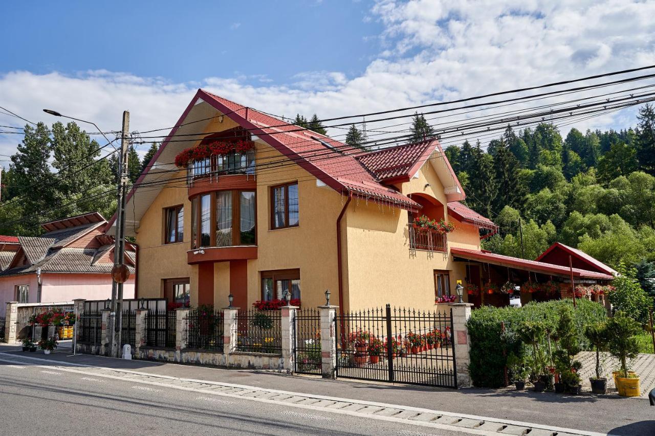 Casa Cu Flori Moisei Hotel Exterior photo
